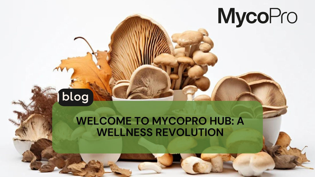 Welcome To MycoPro Hub: A Wellness Revolution