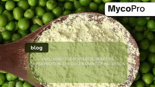 Pea Protein Benefits: The Complete Guide to Plant-Based Nutrition MycoPro Global