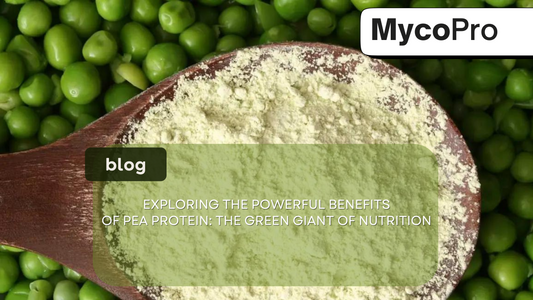 Pea Protein Benefits: The Complete Guide to Plant-Based Nutrition