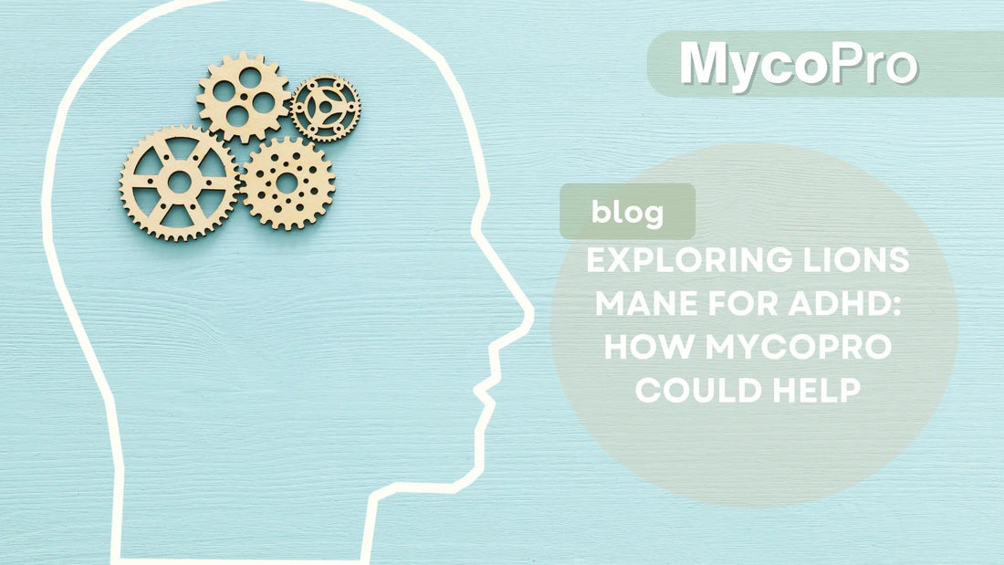 Exploring Lion’s Mane for ADHD: How MycoPro Could Help MycoPro Global