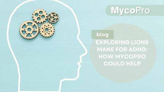 Exploring Lion’s Mane for ADHD: How MycoPro Could Help MycoPro Global