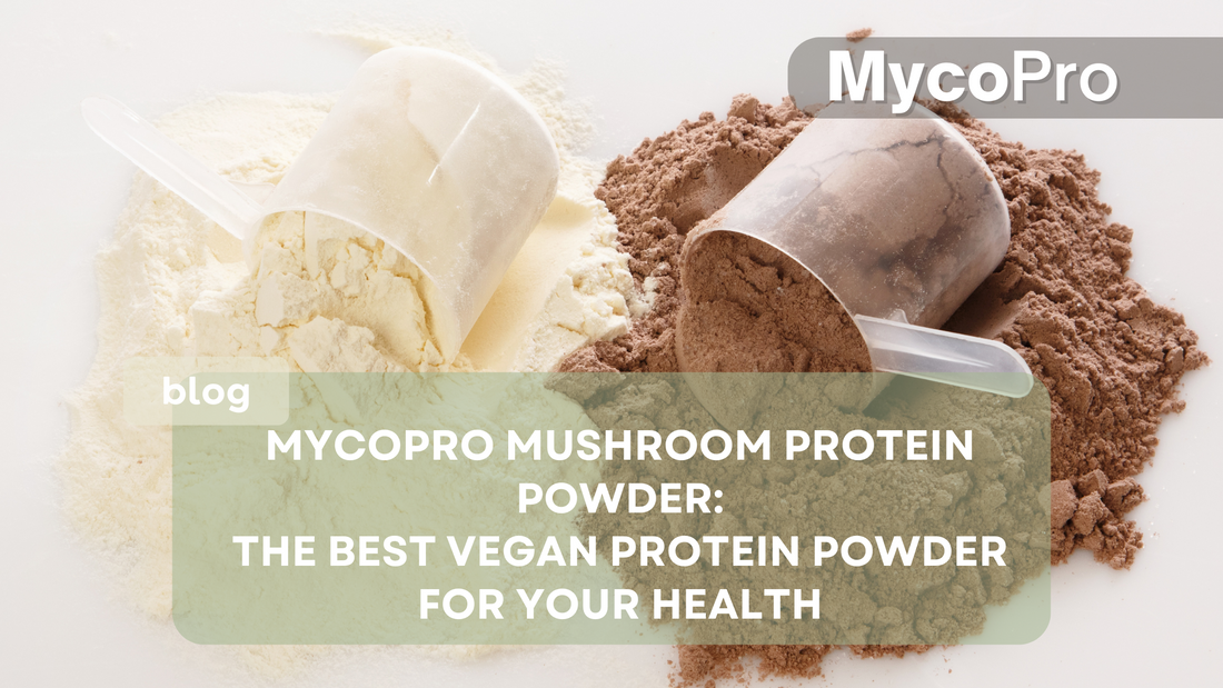 MycoPro Mushroom Protein Powder: The Best Vegan Protein Powder for Your Health