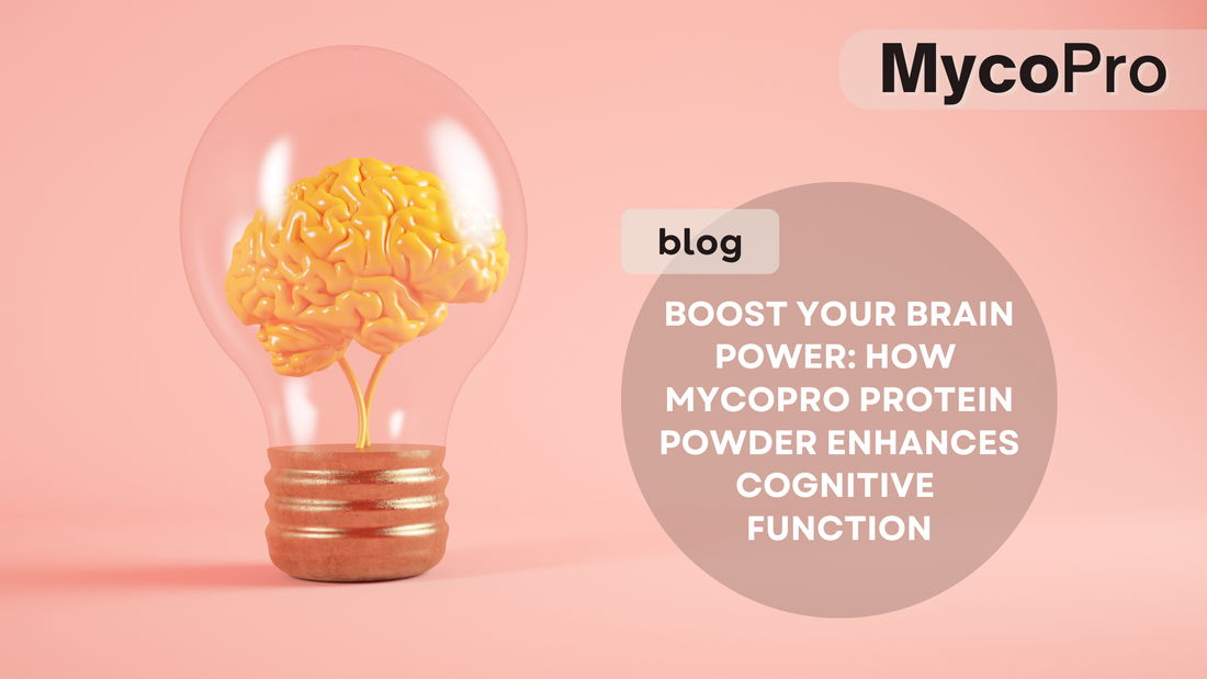MycoPro Protein Powder for Cognitive Function: Key Ingredients Explained
