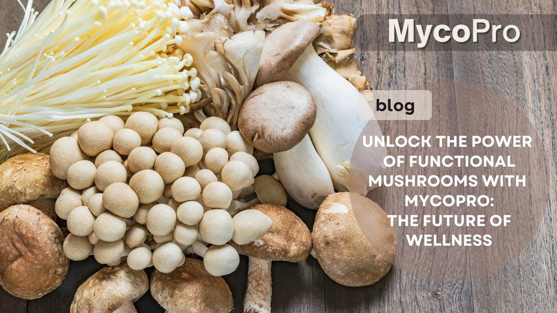 How to Use Functional Mushroom Protein Powder: A Complete MycoPro Guide MycoPro Global
