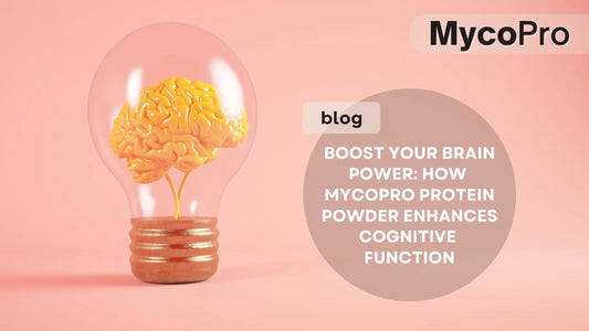 MycoPro Protein Powder for Cognitive Function: Key Ingredients Explained MycoPro Global