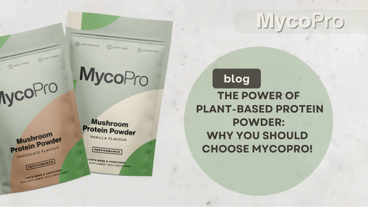 Two packages of MyCoPro Mushroom Protein Powder in chocolate and vanilla flavors. Blog title reads 'The Power of Plant-Based Protein Powder: Why You Should Choose MyCoPro!