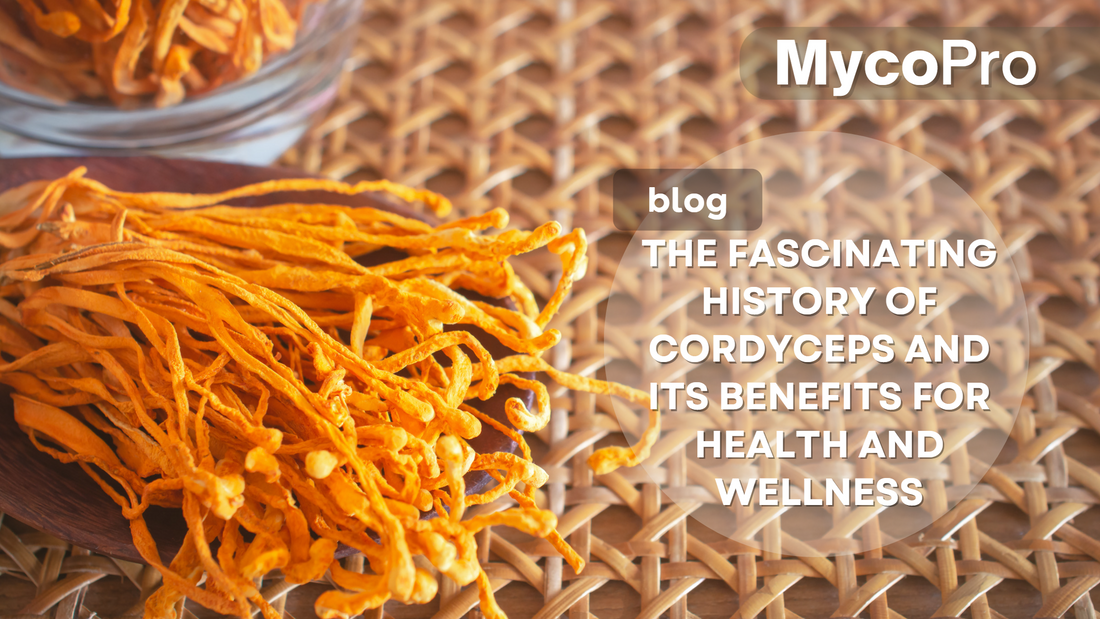 The Fascinating History of Cordyceps and Its Benefits for Health and Wellness