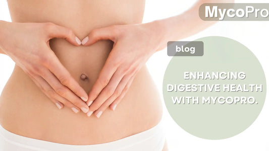 Protein Powder for Digestive Health: How MyCoPro and Functional Mushrooms Can Help MycoPro Global