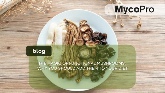 The Magic of Functional Mushrooms: Why You Should Add Them to Your Diet