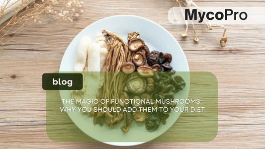 Functional Mushrooms Benefits: Why You Should Add Them to Your Diet MycoPro Global