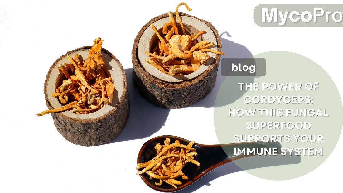 Cordyceps Mushroom for Immune System Support: What the Science Says MycoPro Global