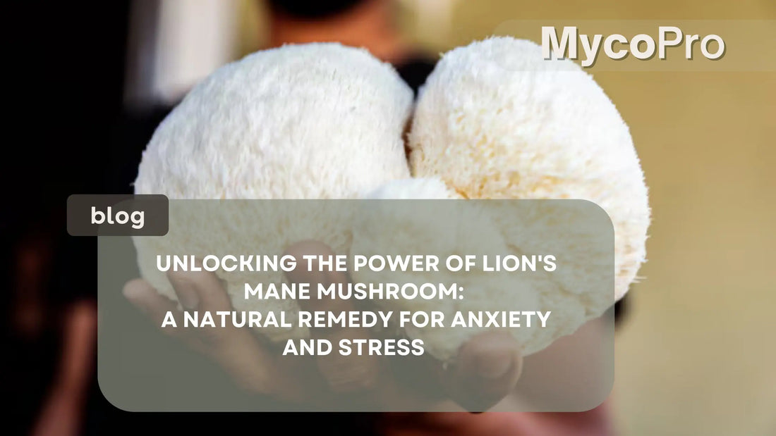 Close-up of a person holding a Lion's Mane mushroom. Blog title reads 'Unlocking the Power of Lion's Mane Mushroom: A Natural Remedy for Anxiety and Stress' with MyCoPro branding in the corner.