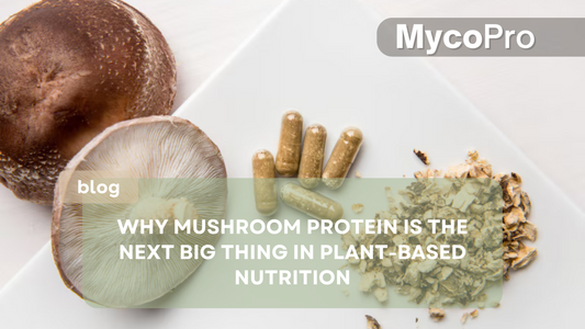 Why Mushroom Protein is the Next Big Thing in Plant-Based Nutrition