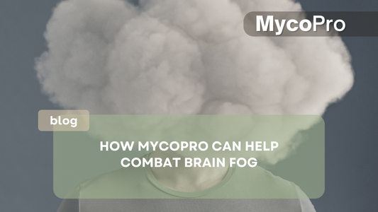 How MycoPro Can Help Combat Brain Fog