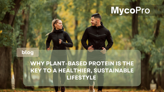 Why Plant-Based Protein is the Key to a Healthier, Sustainable Lifestyle