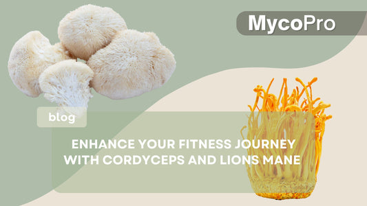 Enhance Your Fitness Journey with Cordyceps and Lion’s Mane