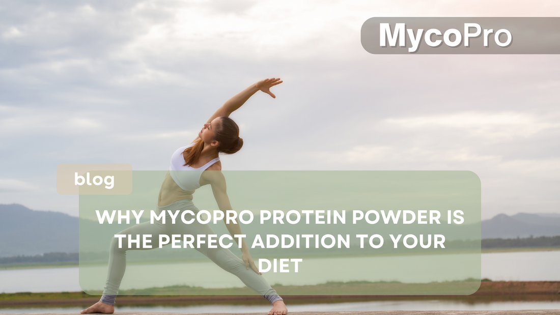 Why MycoPro Plant-Based Protein Powder is the Perfect Addition to Your Diet