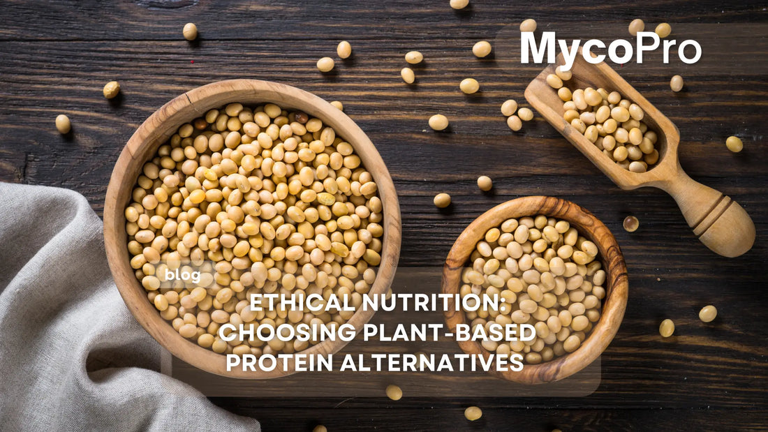 Ethical Nutrition: Choosing Plant-Based Protein Alternatives MycoPro Global