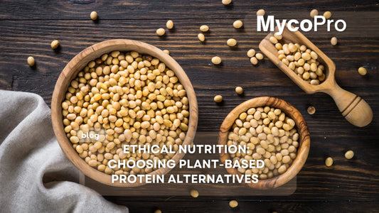 Ethical Nutrition: Choosing Plant-Based Protein Alternatives MycoPro Global