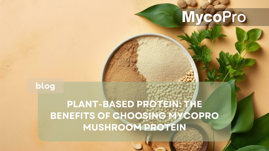 Plant-Based Protein: The Benefits of Choosing MycoPro Mushroom Protein