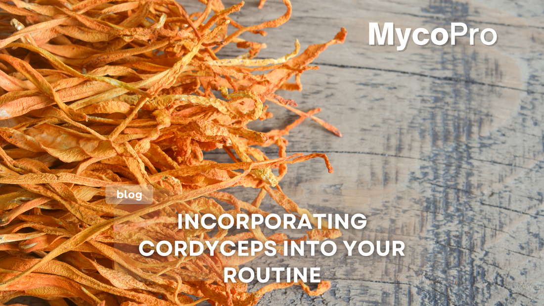 Incorporating Cordyceps into Your Daily Wellness Routine