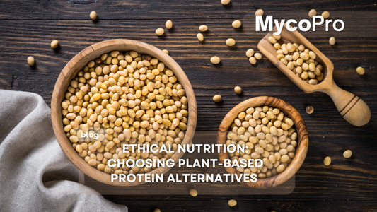 Ethical Nutrition: Choosing Plant-Based Protein Alternatives