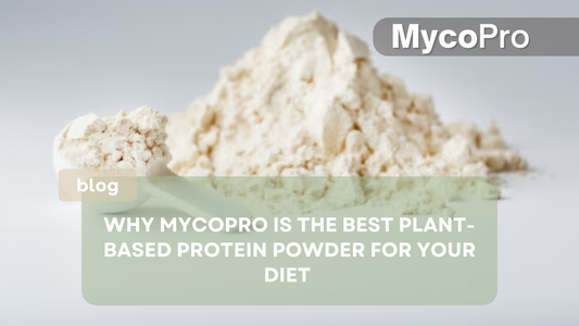 Why MycoPro is the Best Plant-Based Protein Powder for Your Diet