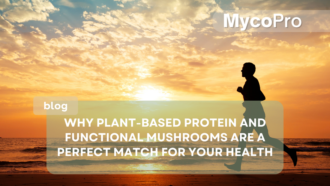 Plant-Based Protein + Functional Mushrooms = Perfect Match for Your Health