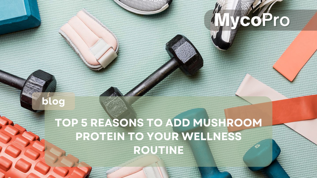 Top 5 Reasons to Add Mushroom Protein to Your Wellness Routine