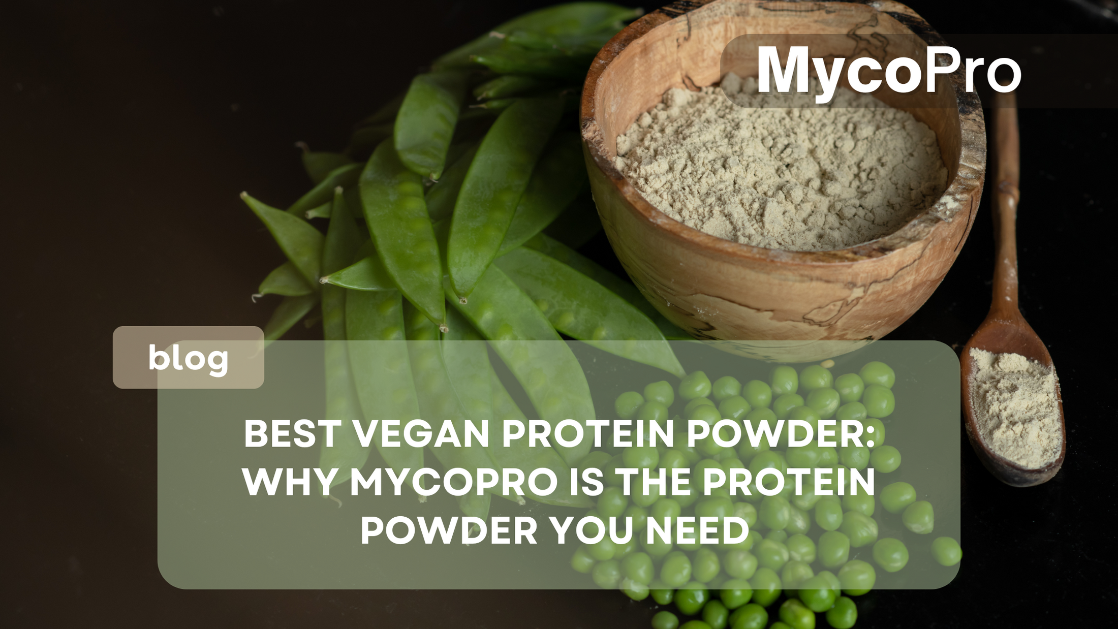 Best Vegan Protein Powder MycoPro’s Mushroom Protein for Your Health