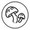 Real Mushrooms
