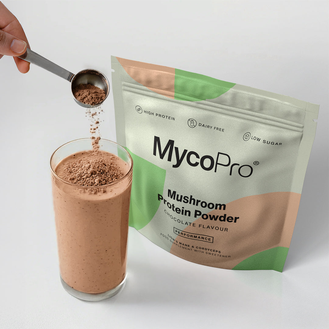 Chocolate Flavour Mushroom Protein Powder - MycoPro