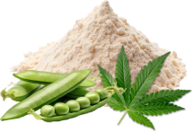 Pea, Hemp & Fava Protein Blend